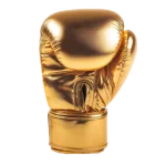 Boxing icon
